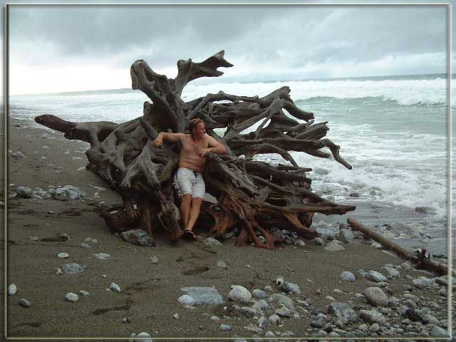 Cliff in the Coco Bola Tree