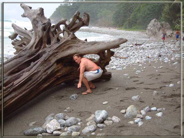 Cliff Surfin' the tree