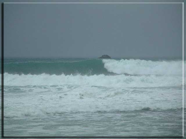 Matapalo surf - nobody out
