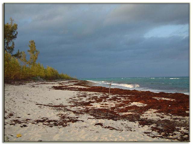 Green Turtle Cay -  Air Charter Bahamas