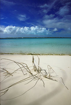 Stocking Island, Exuma Bahamas